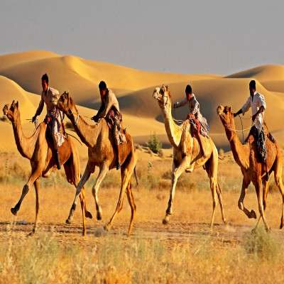 Desert Festival Trip